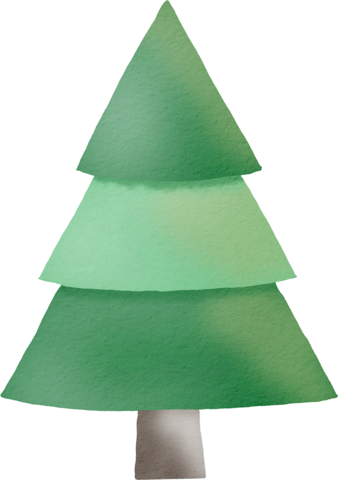 Pine tree watercolor paint png