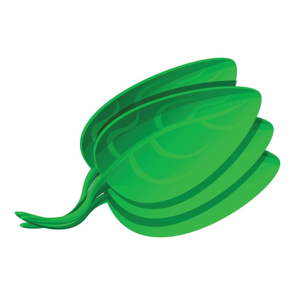 Spinach icon, cartoon style vector