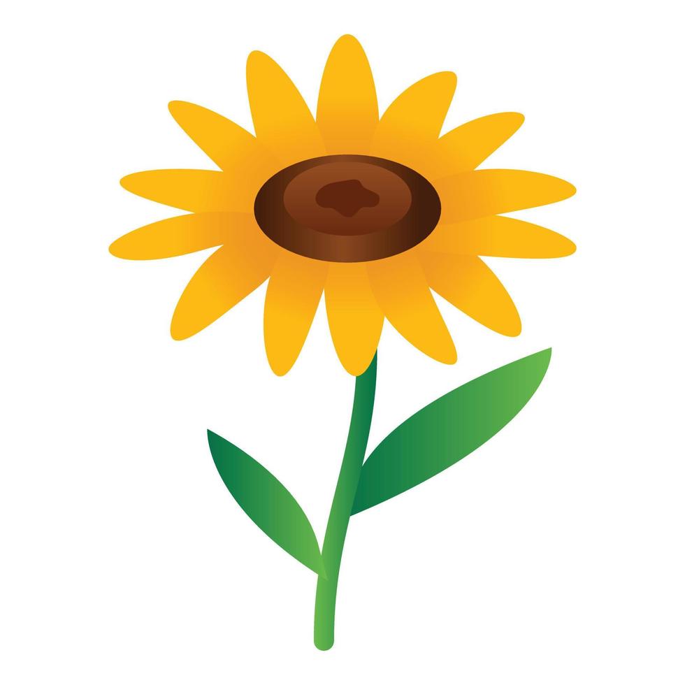 Sunflower icon, isometric style vector