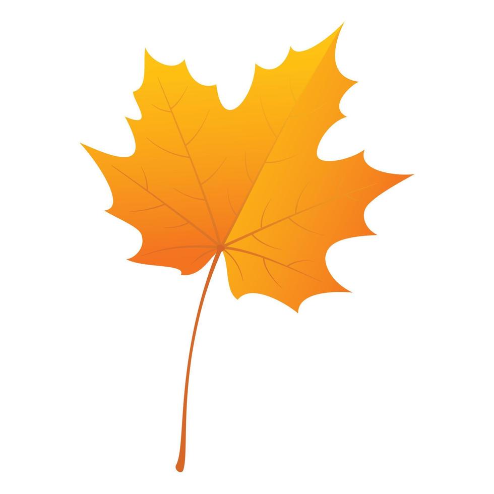 Maple leaf icon, flat style vector