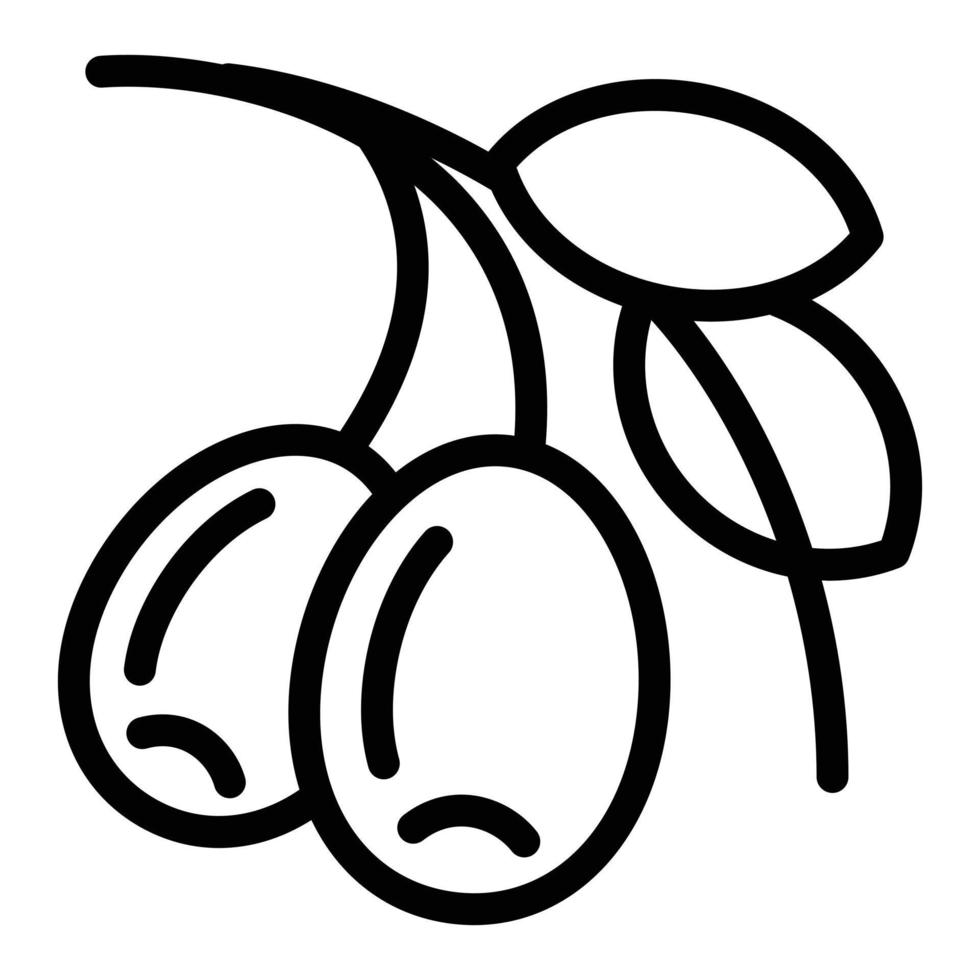 Olive branch icon, outline style vector