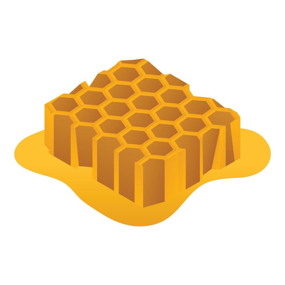 Honeycomb honey icon, isometric style vector