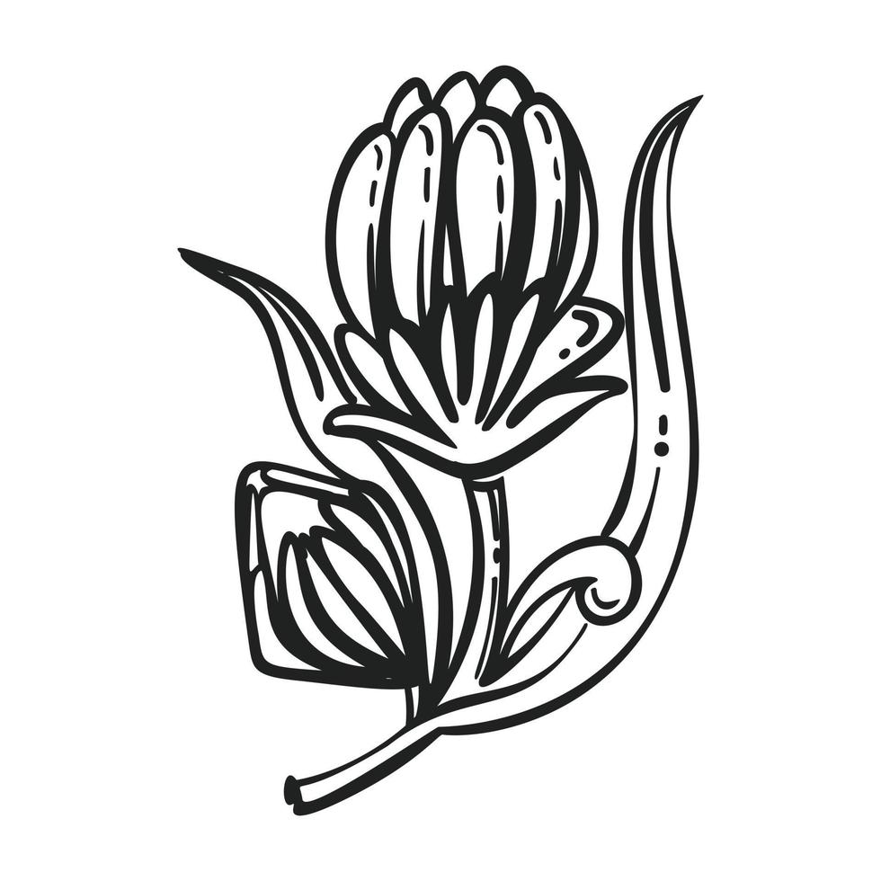 Medicine calendula icon, simple style vector