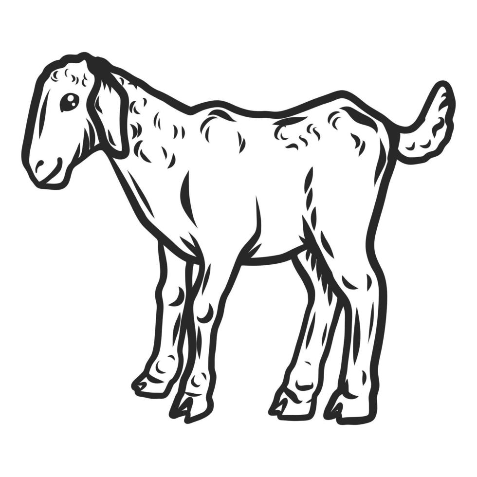 Kid goat icon, hand drawn style vector