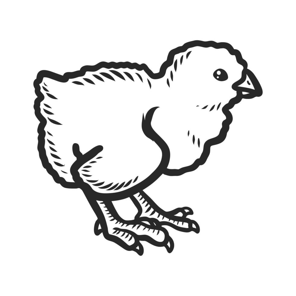 icono de pollito, estilo dibujado a mano vector