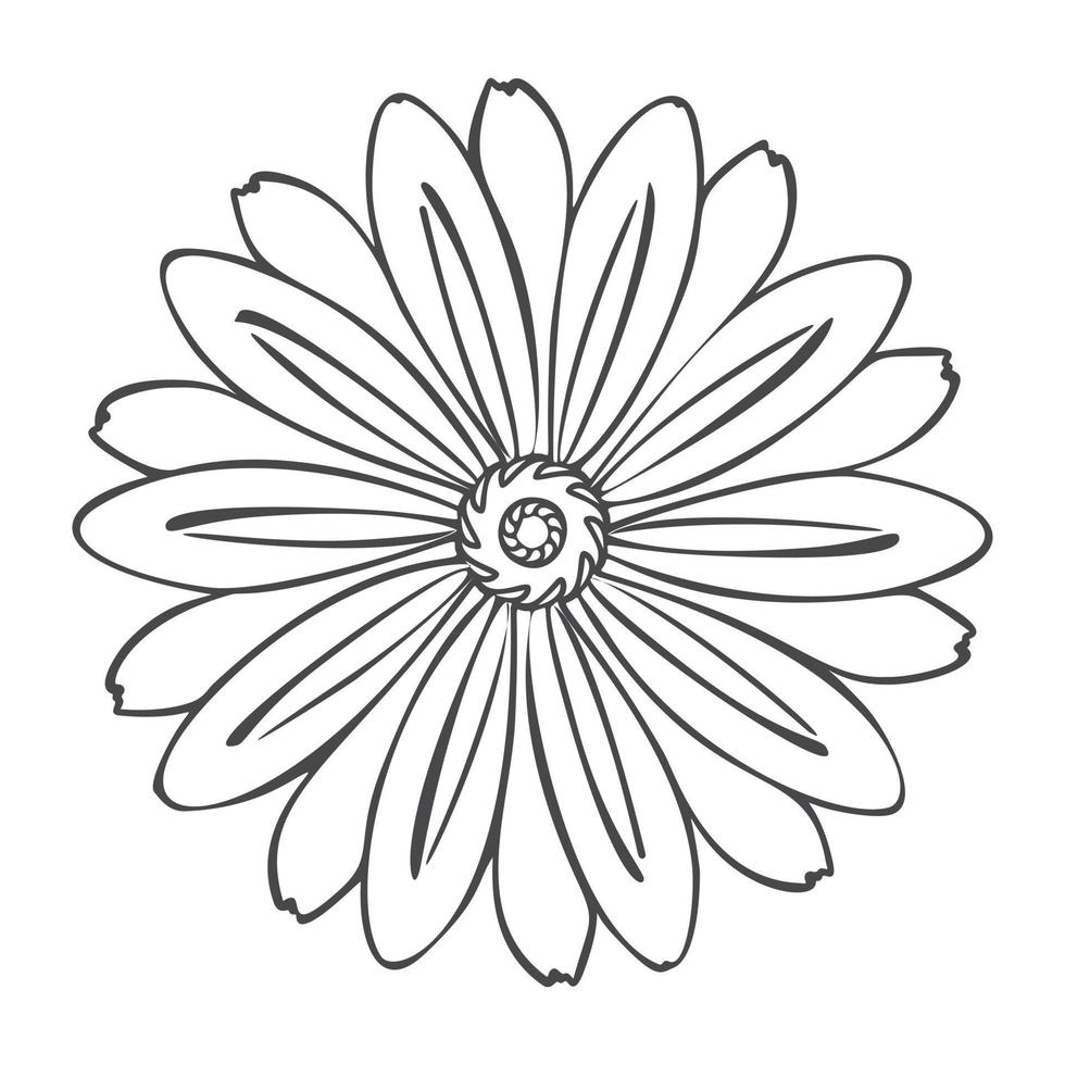 Herbal flower icon, simple style vector