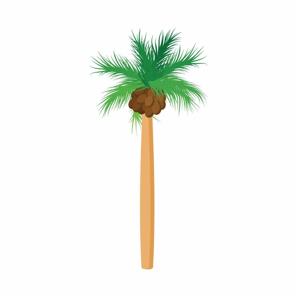 Cocos palm tree icon, cartoon style vector