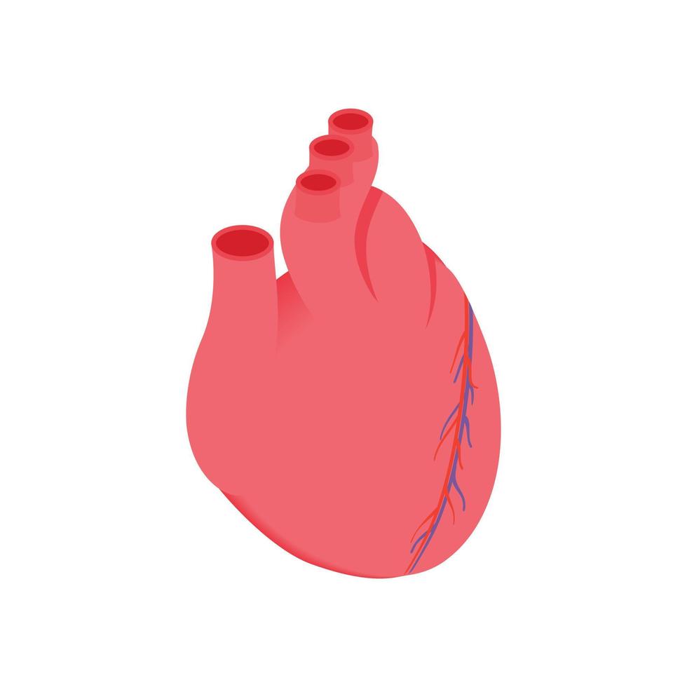 icono 3d isométrico del corazón anatómico vector