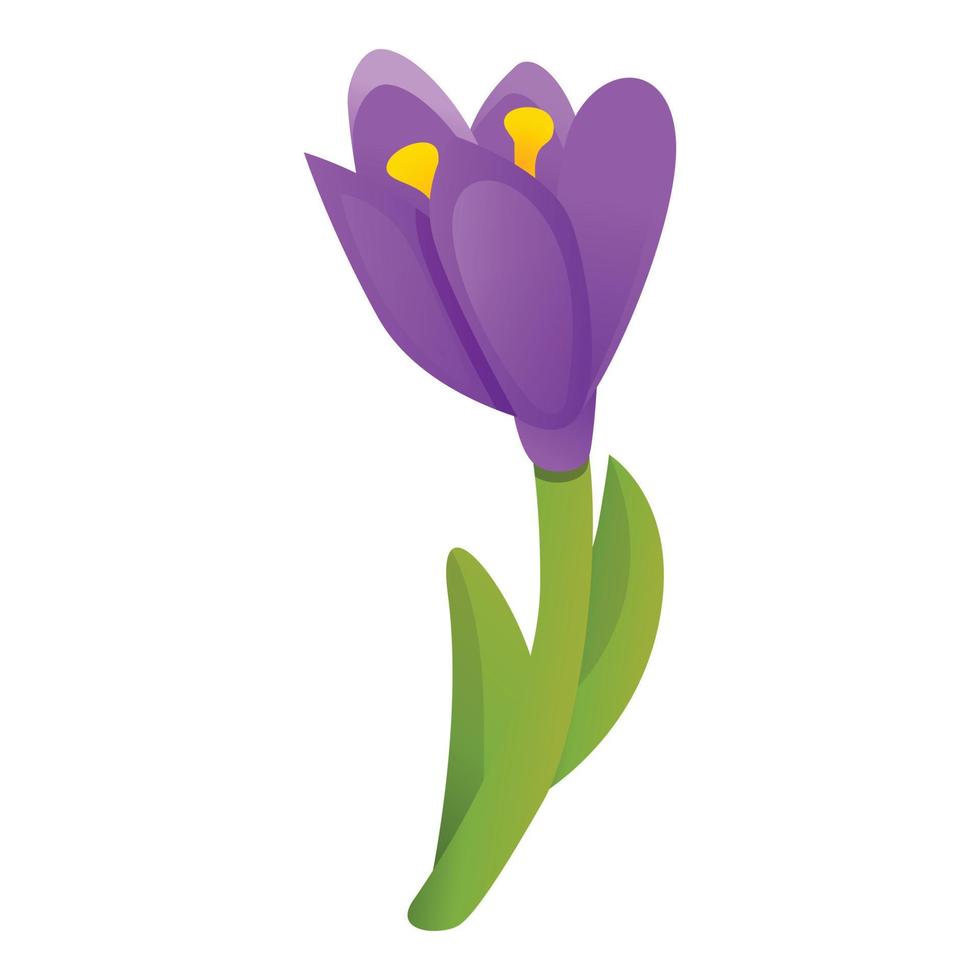 Blossom crocus icon, cartoon style vector
