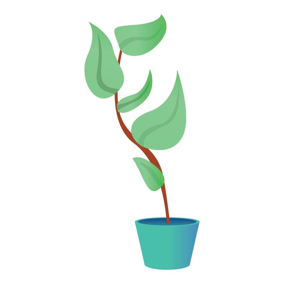 Big leaf houseplant icon, cartoon style vector