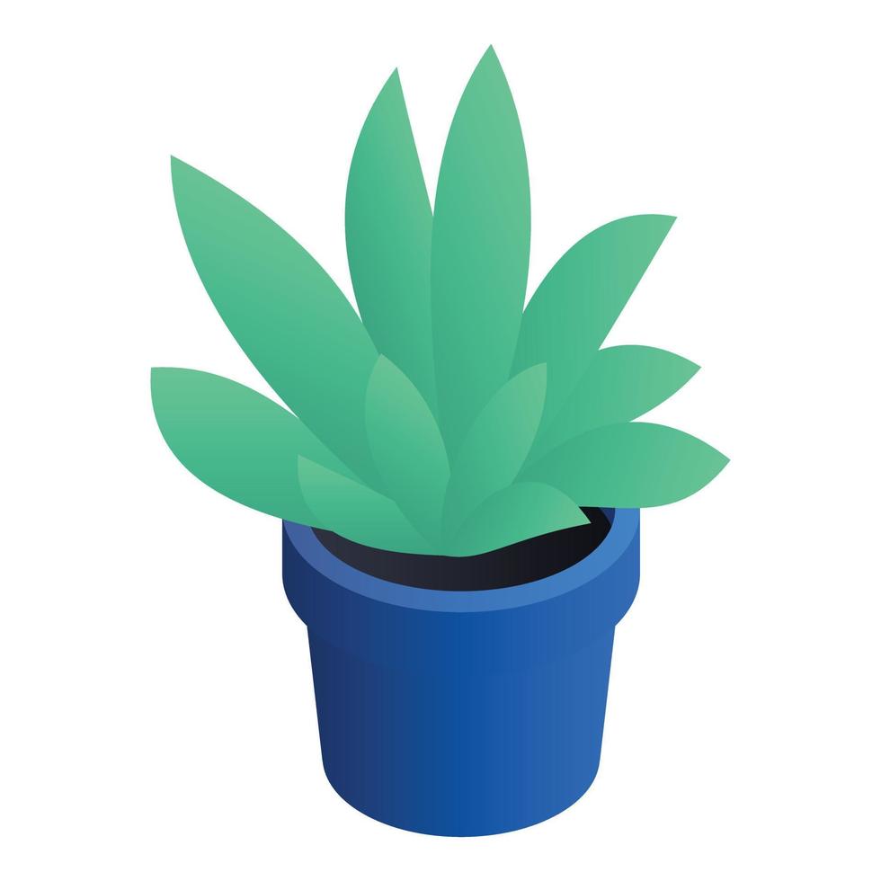 Succulent pot icon, isometric style vector