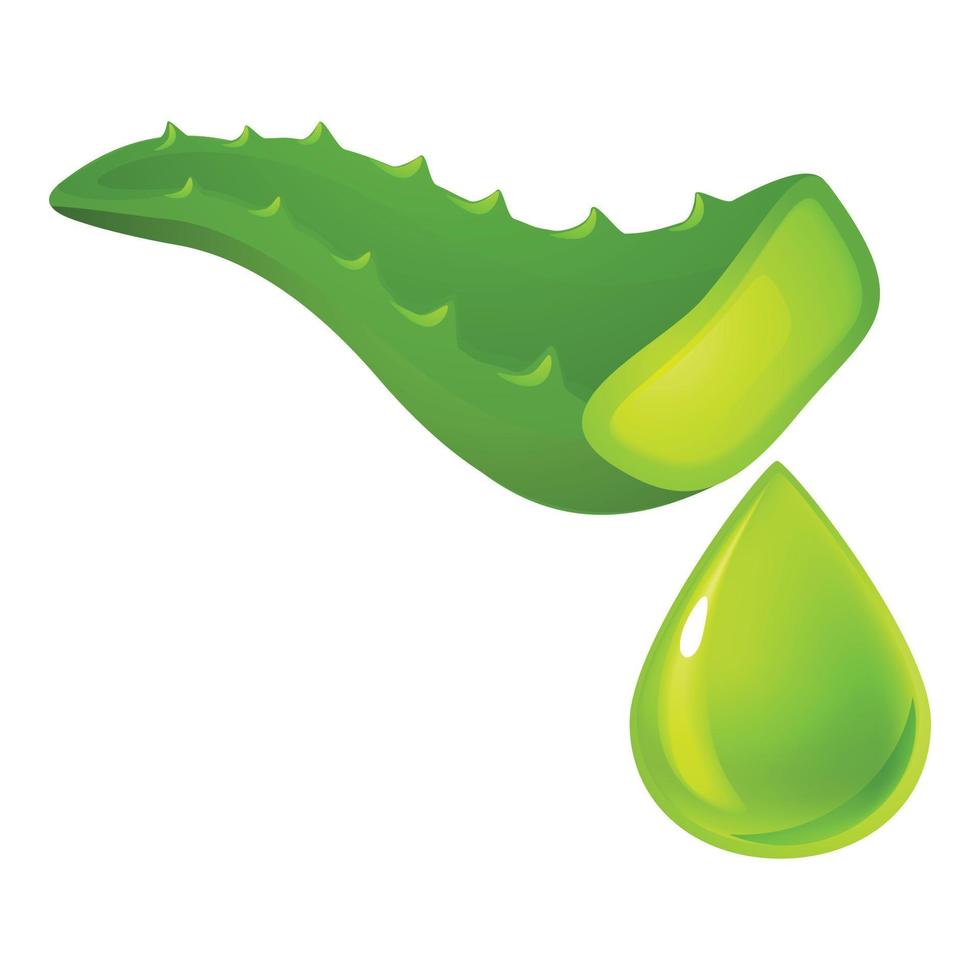 Cutted drop aloe icon, cartoon style vector