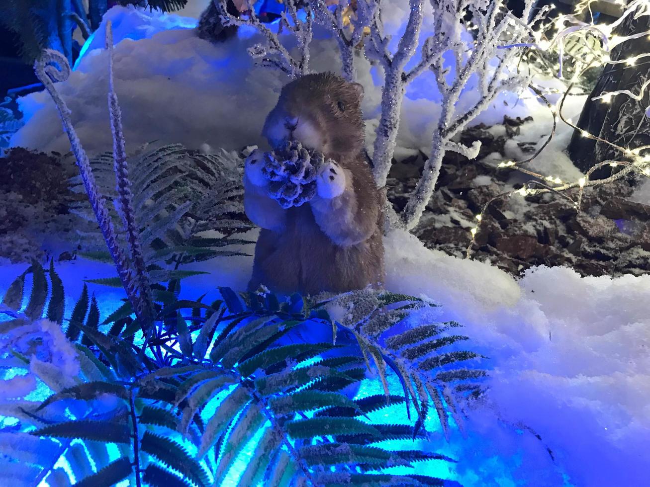 Toy squirrel or gopher sitting on a fluffy fir branches. Merry Christmas and Happy New Year Greeting Card Design. The concept of New Year and Christmas. Festive decoration. photo