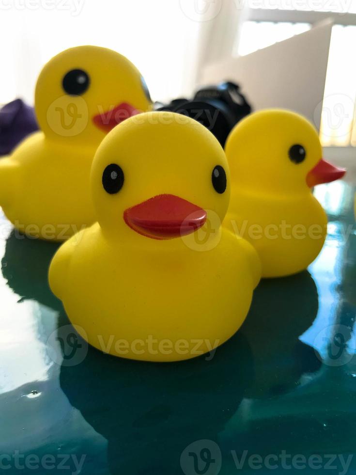 a family of yellow rubber ducks walk on epoxy water to fight for the environment. three ducks swim in resin instead of water. ducks want to fight for clean water and bread photo