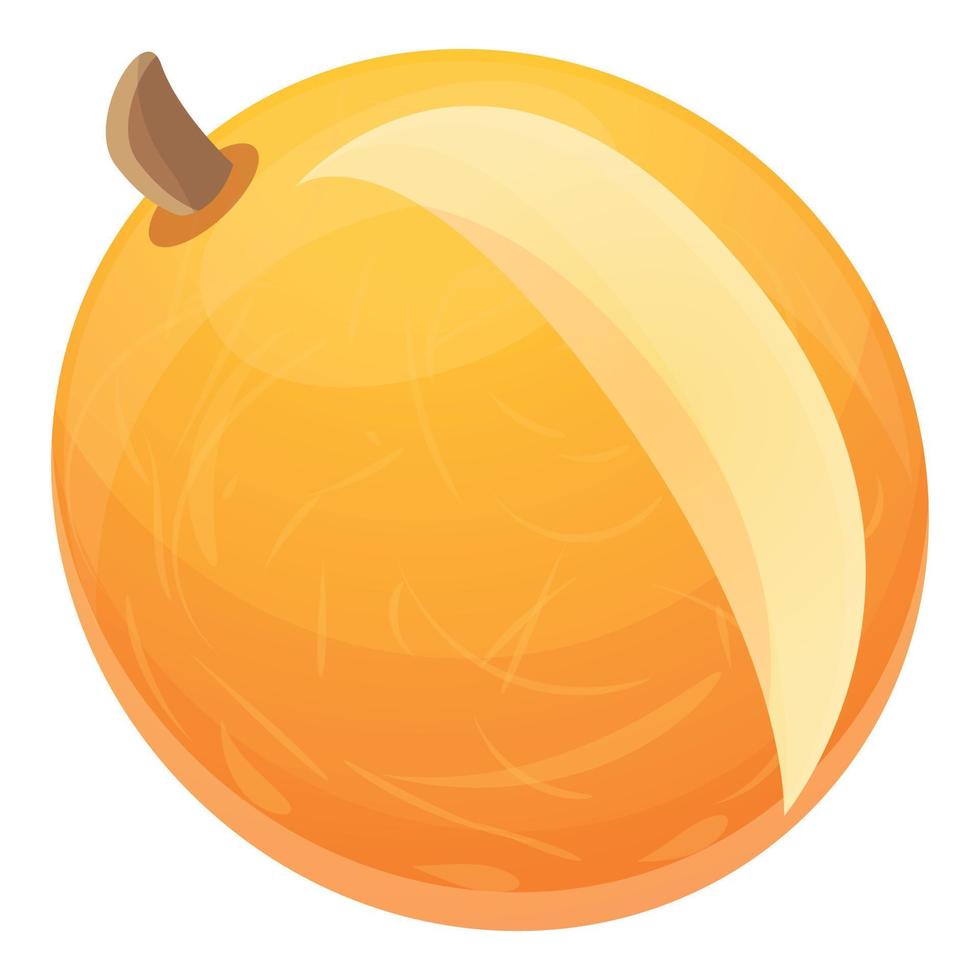 Eco fresh melon icon, cartoon style vector