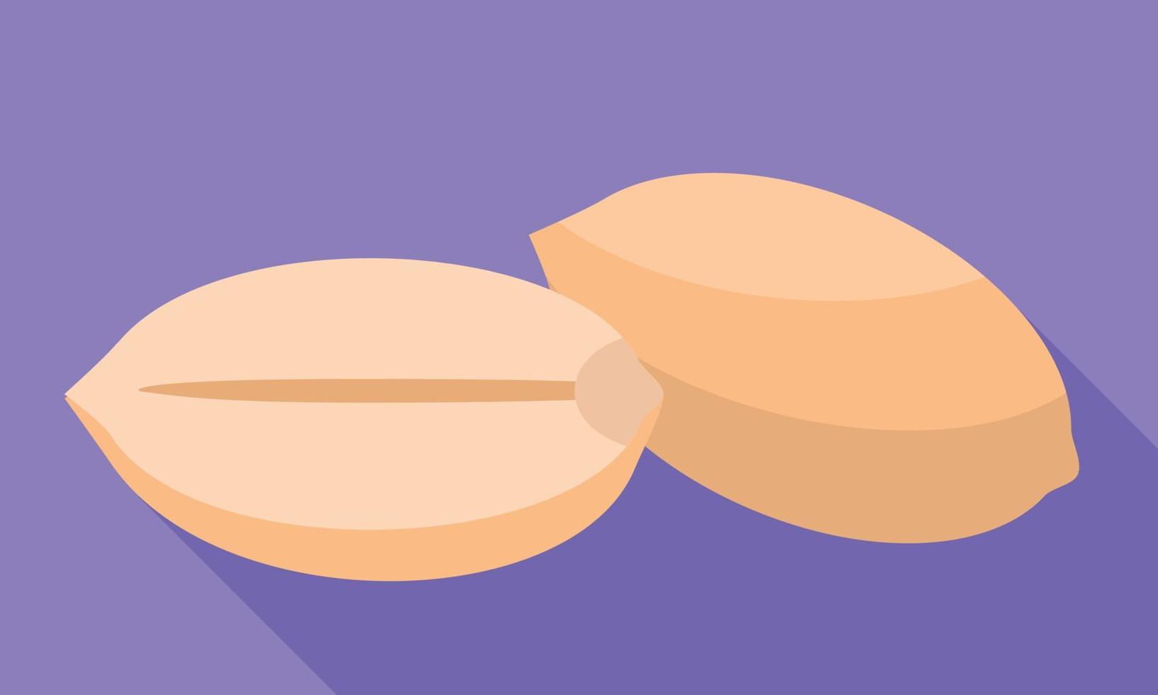 Clean peanuts icon, flat style vector