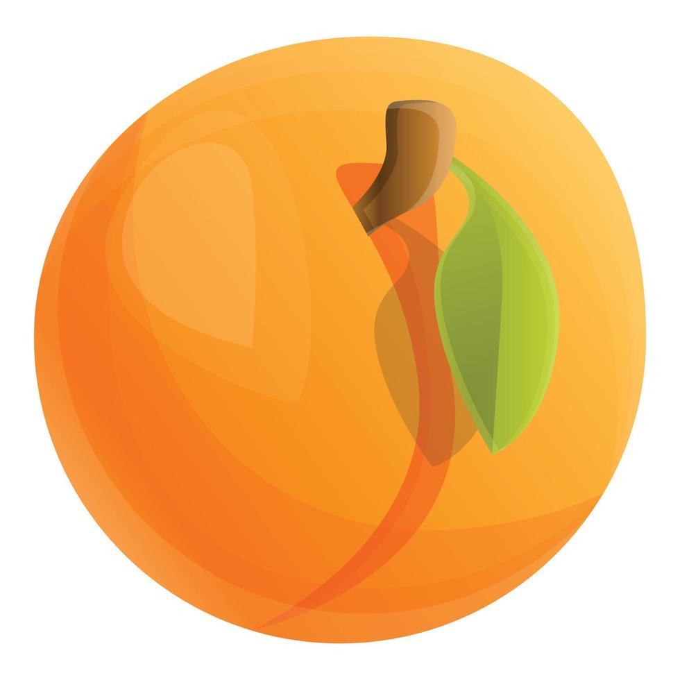 Whole eco apricot icon, cartoon style vector