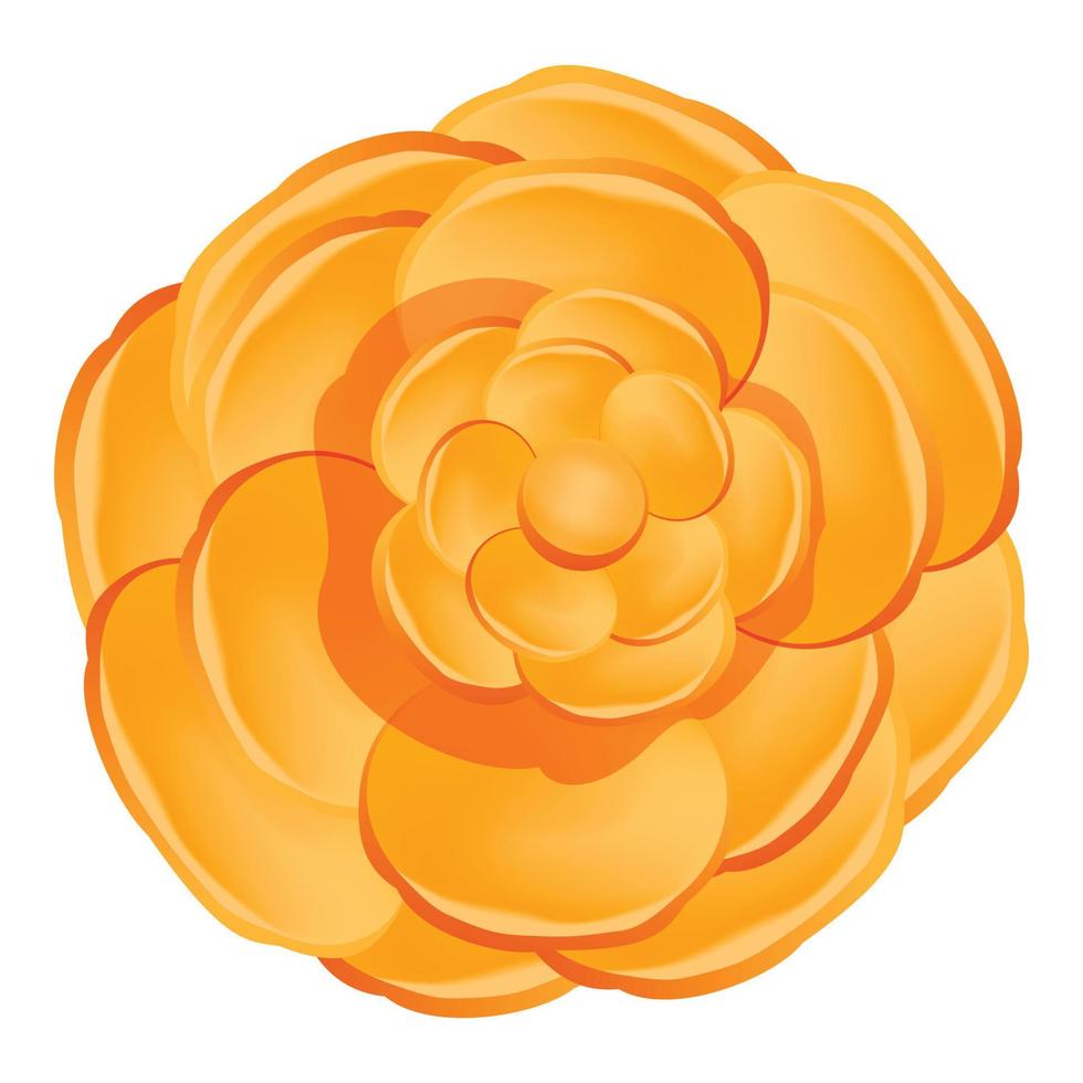Orange camellia flower icon, cartoon style vector