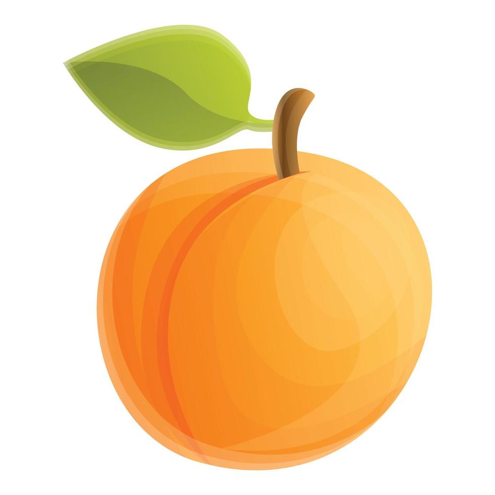 Garden tree apricot icon, cartoon style vector