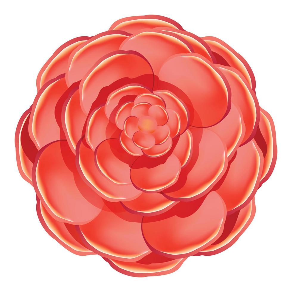 Red colorful camellia icon, cartoon style vector