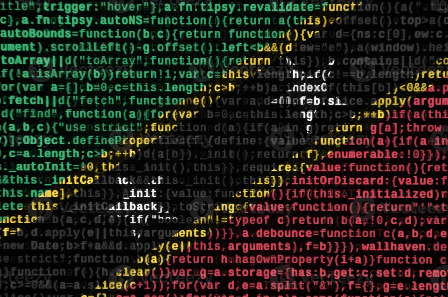 Saint Kitts and Nevis flag  is depicted on the screen with the program code. The concept of modern technology and site development photo