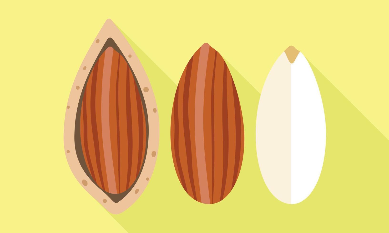 icono limpio de cáscara de almendra, estilo plano vector