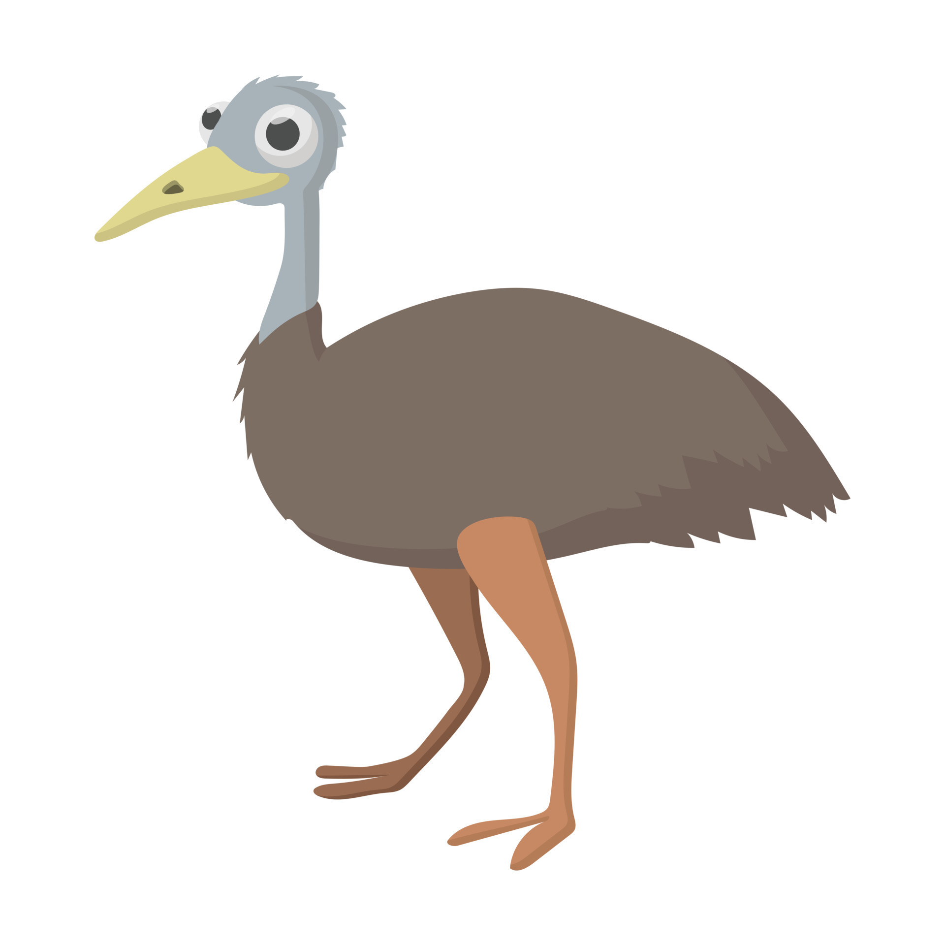 Emu icon, cartoon style 14187819 Vector Art at Vecteezy