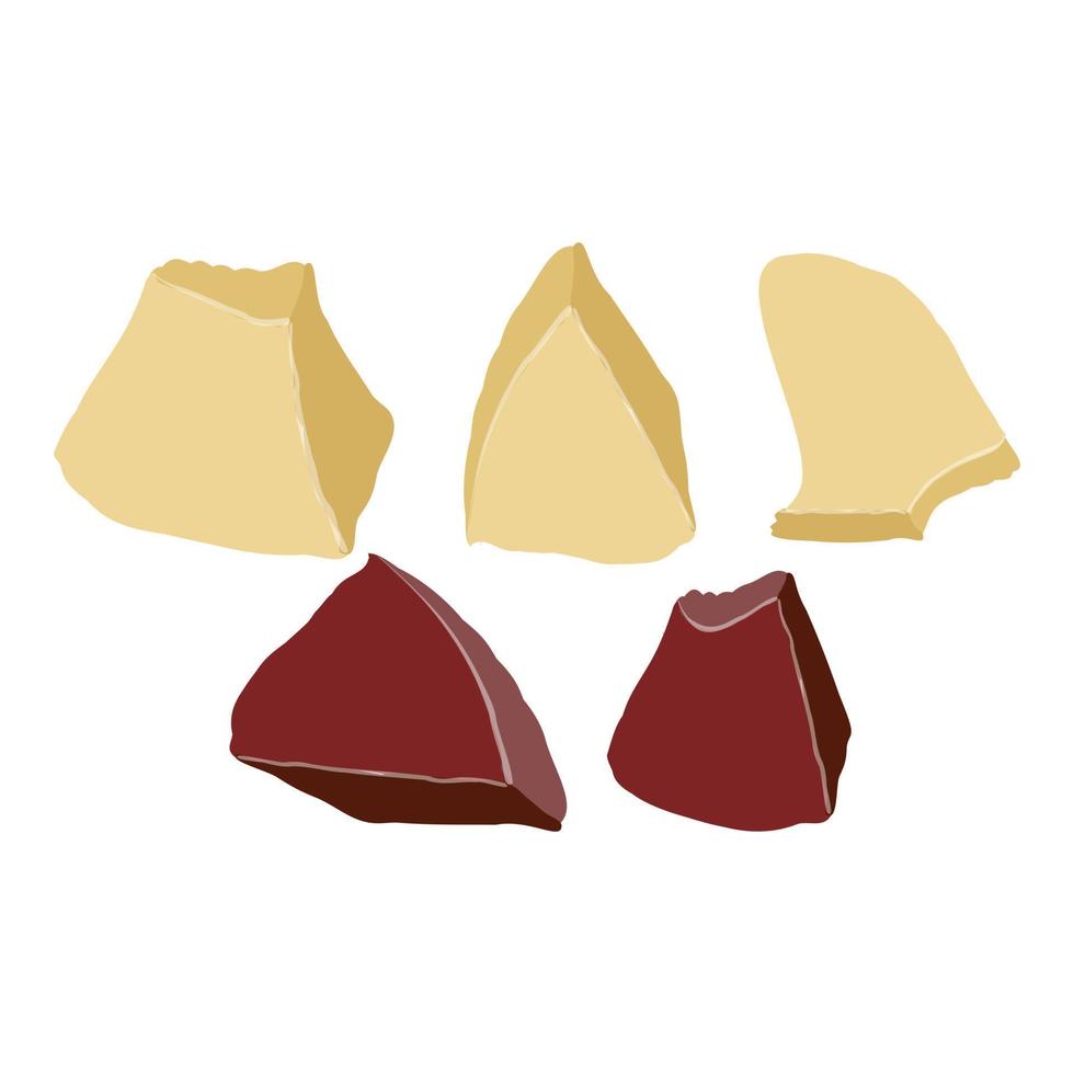 vector de dibujos animados de icono de parte de fruta de cacao. grano de cacao