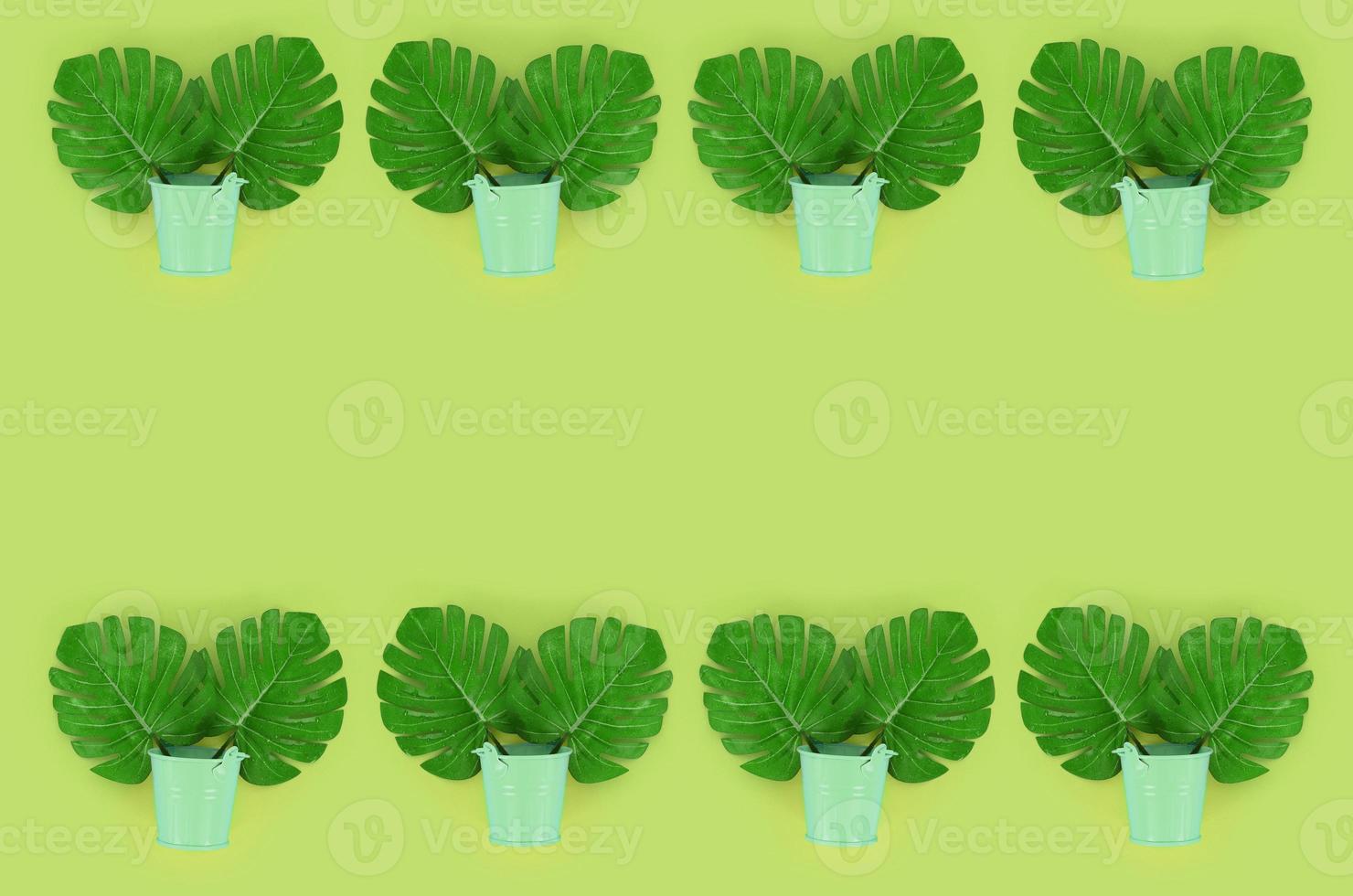 Tropical palm monstera leaves lies in a pastel pails on a colored background. Flat lay trendy minimal pattern. Top view photo