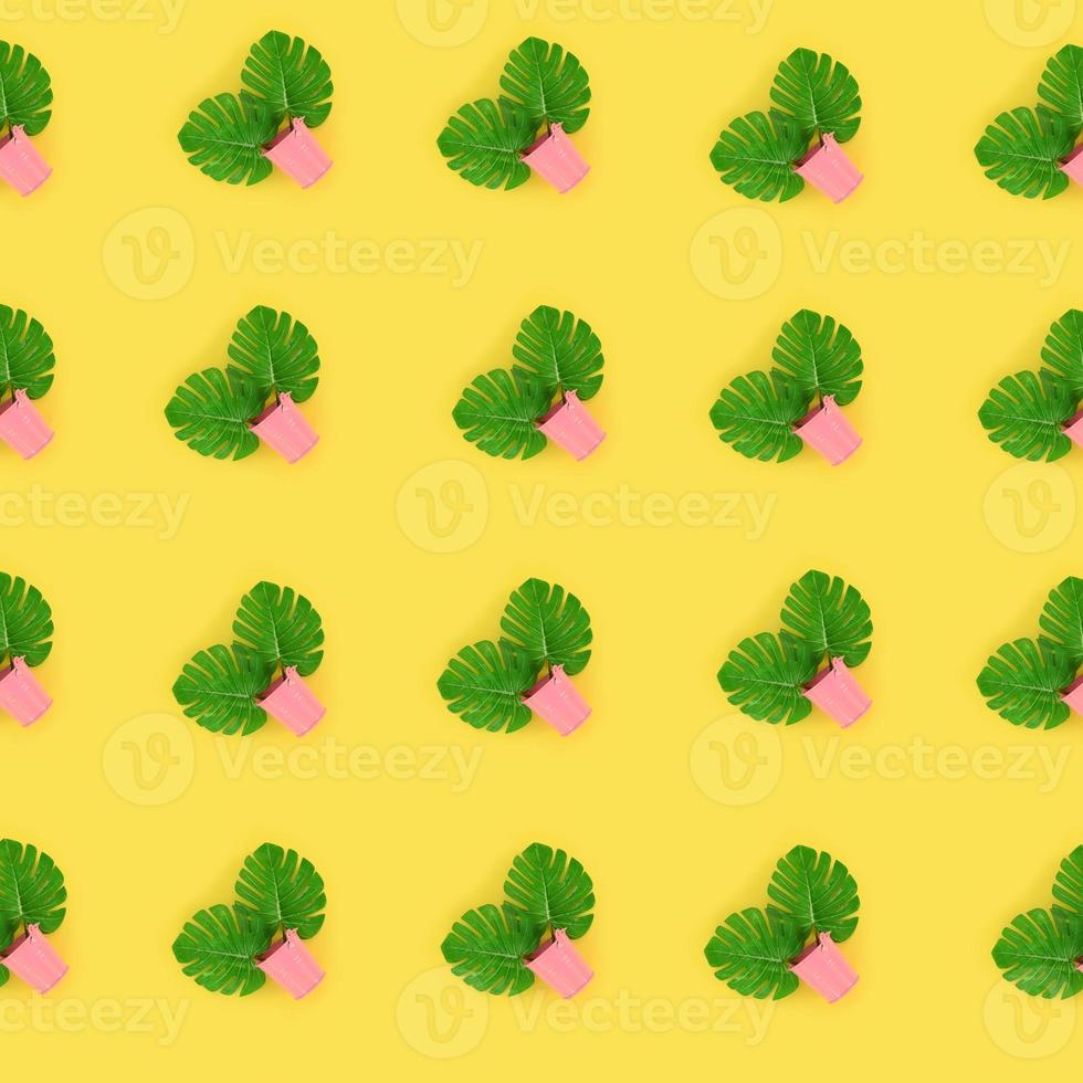 Tropical palm monstera leaves lies in a pastel pails on a colored background. Flat lay trendy minimal pattern. Top view photo