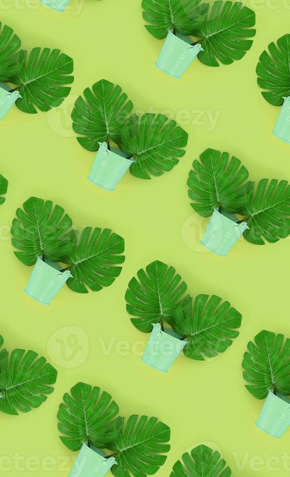 Tropical palm monstera leaves lies in a pastel pails on a colored background. Flat lay trendy minimal pattern. Top view photo