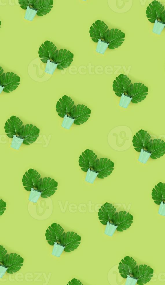 Tropical palm monstera leaves lies in a pastel pails on a colored background. Flat lay trendy minimal pattern. Top view photo