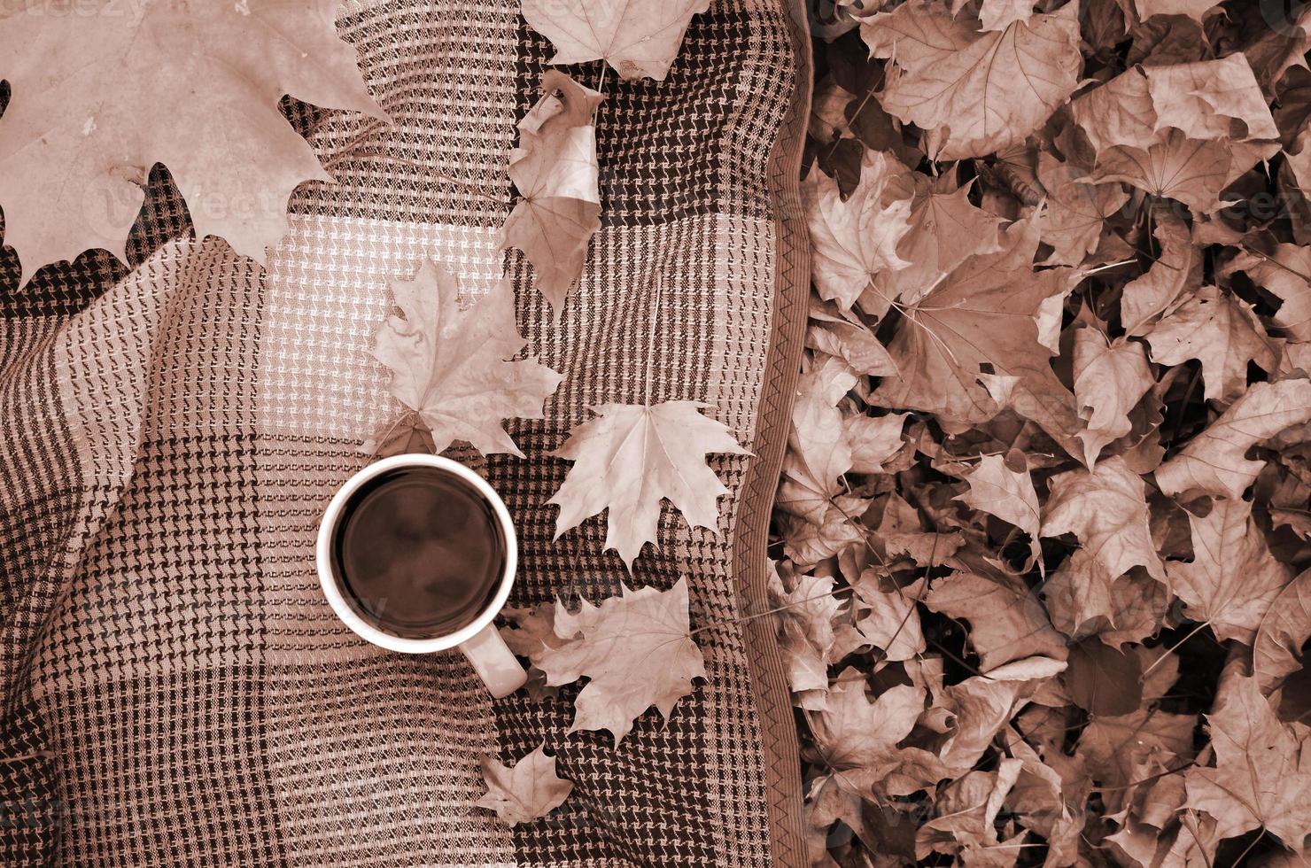 hojas de otoño y una taza de café caliente y humeante se encuentran en cuadros escoceses al aire libre foto