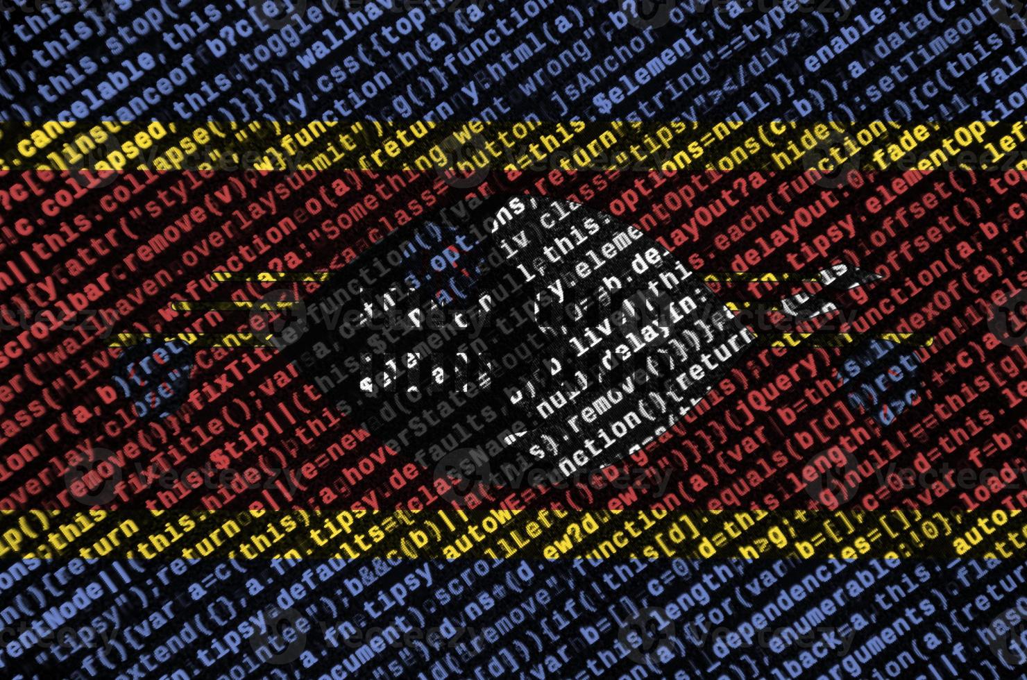 Swaziland flag  is depicted on the screen with the program code. The concept of modern technology and site development photo