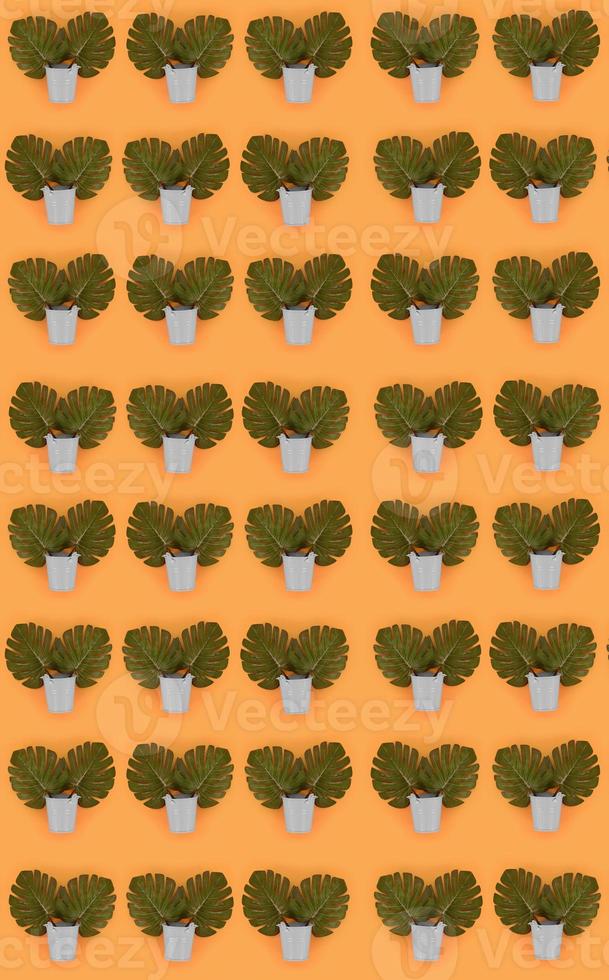 Tropical palm monstera leaves lies in a pastel pails on a colored background. Flat lay trendy minimal pattern. Top view photo
