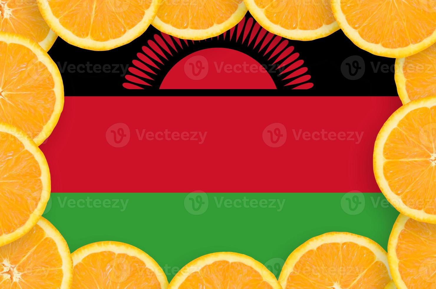 Malawi flag  in fresh citrus fruit slices frame photo
