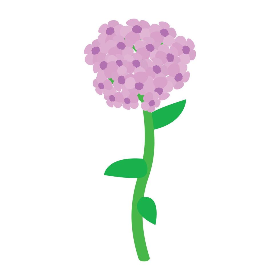 Pink hydrangea icon, isometric 3d style vector