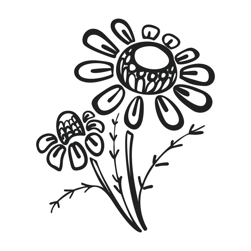 Branch of chamomile icon, simple style vector