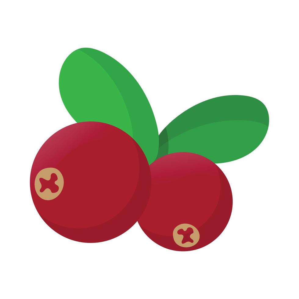 Cranberry icon, cartoon style vector