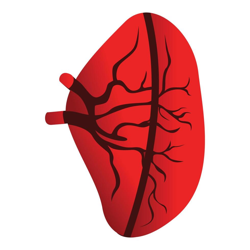 Half spleen icon, cartoon style vector