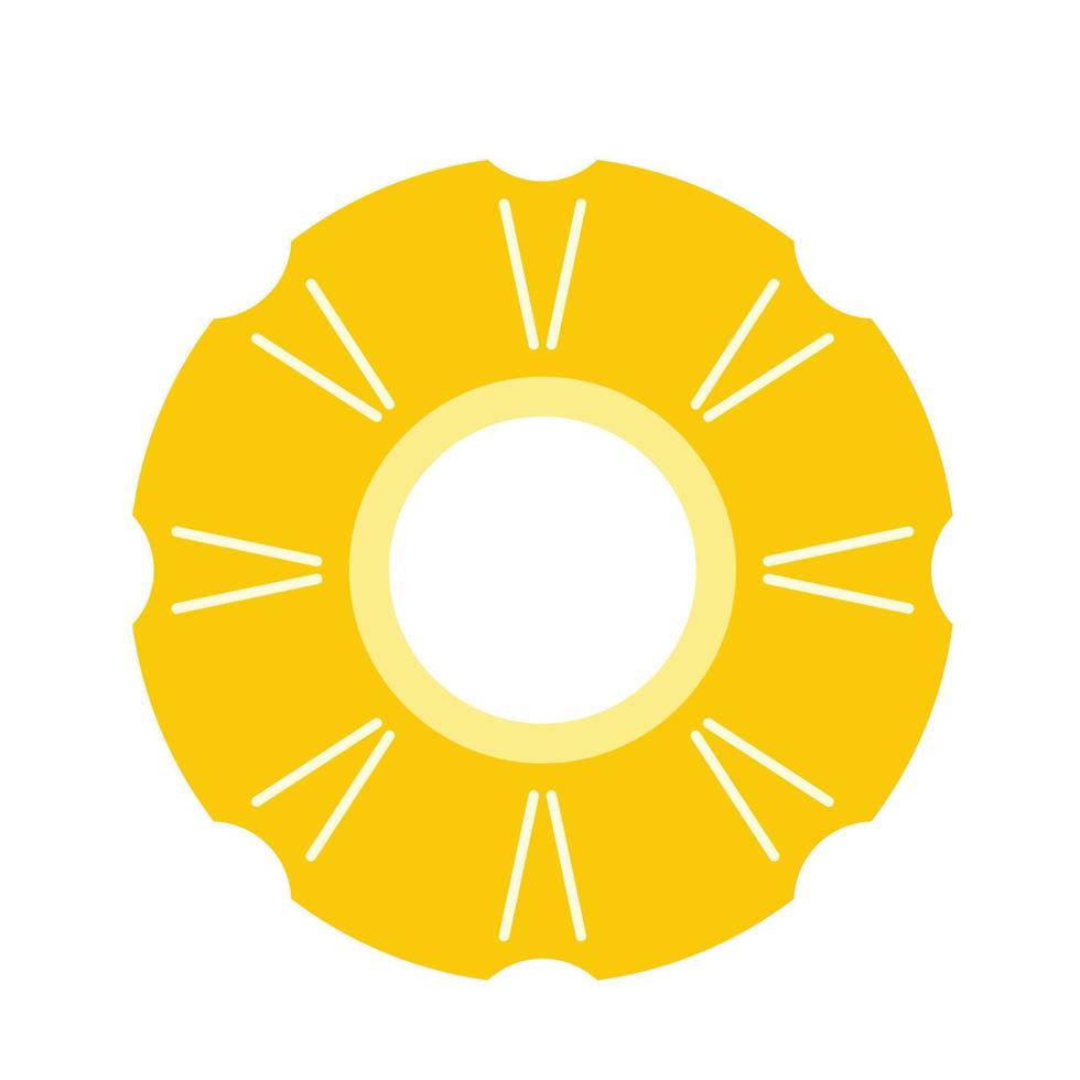 Slice of pineapple flat icon vector