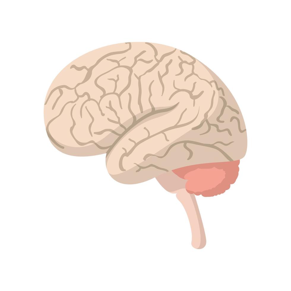 Human brain cartoon icon vector
