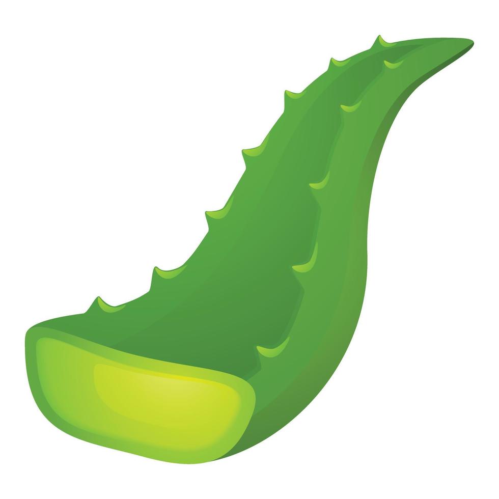 icono de hoja de aloe, estilo de dibujos animados vector