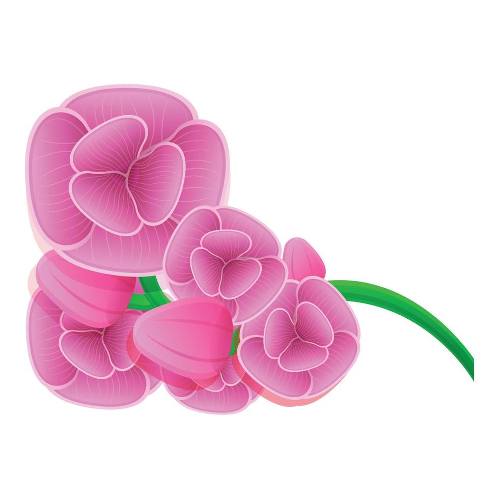 icono de flor de orquídea rosa, estilo de dibujos animados vector