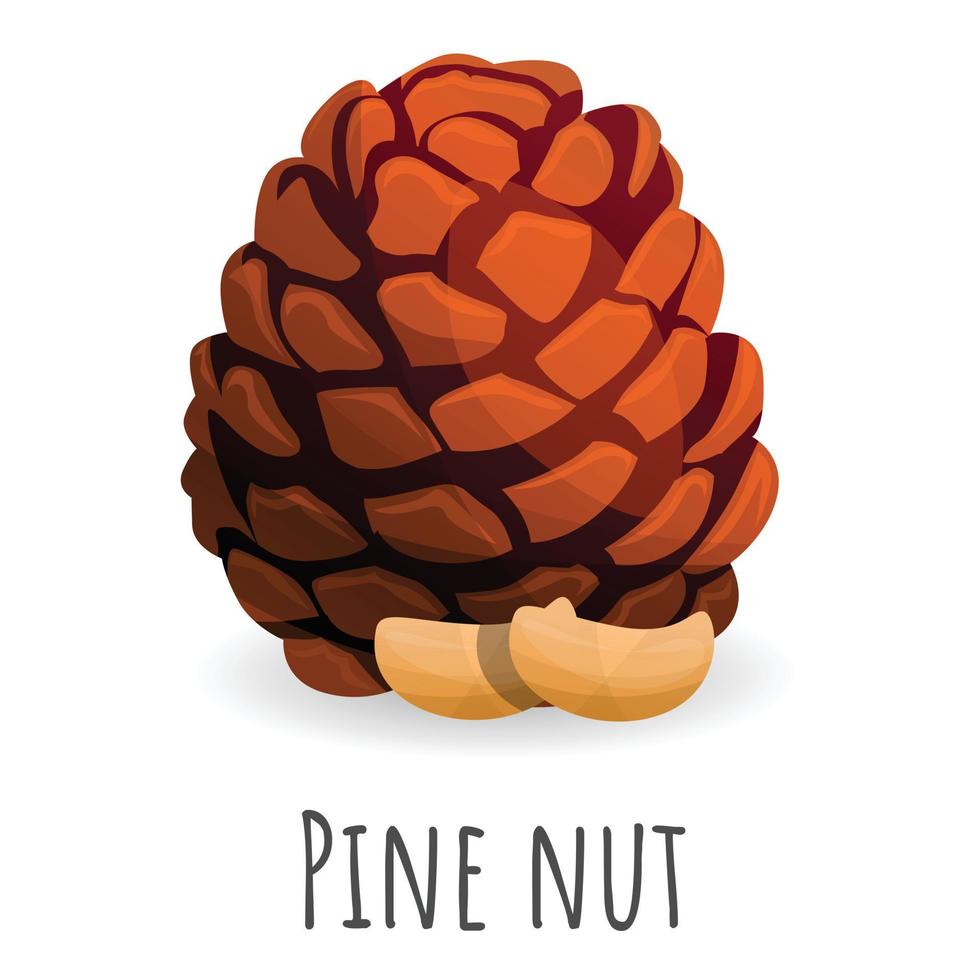 Tree pine nut icon, cartoon style vector