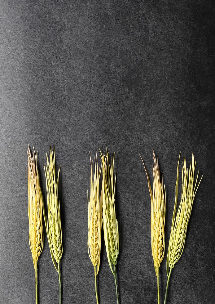 Top view mock up barley on black floor with copy space photo