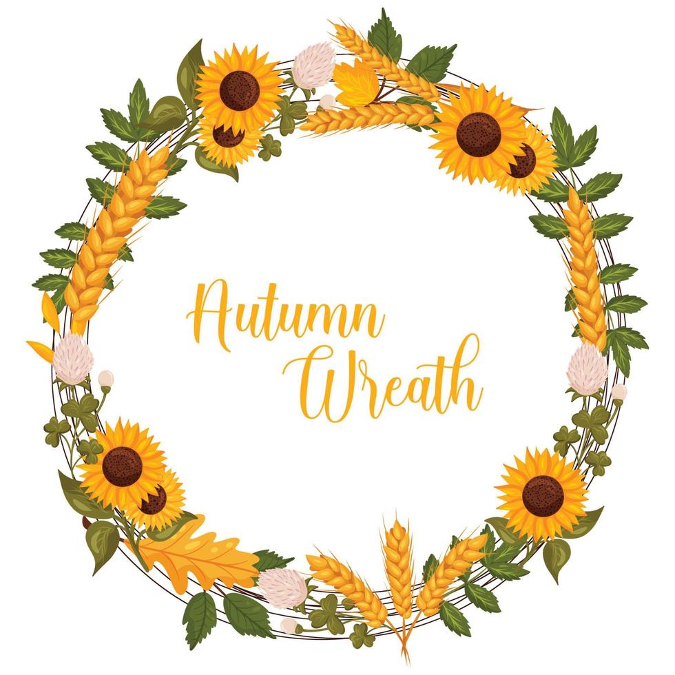 Autumn wreath with wheat, sunflowers, clover with space for text. Vector illustration isolated white background.