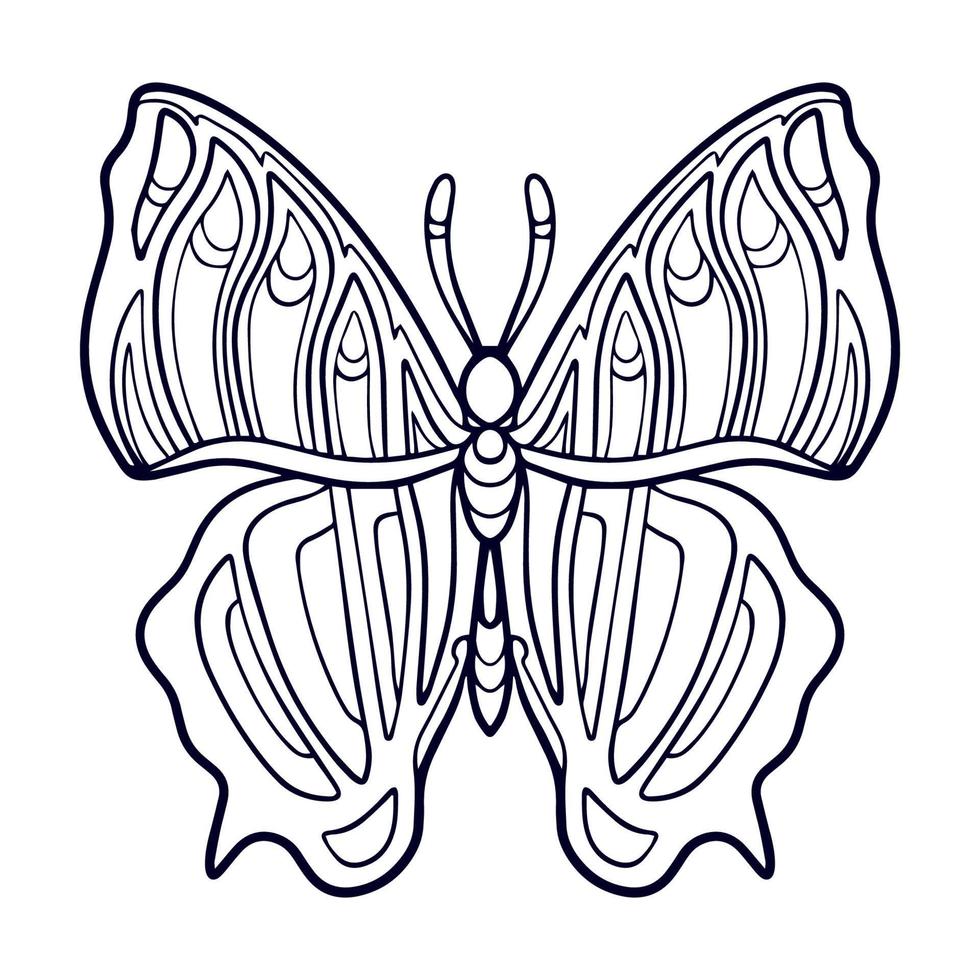 Bellas artes mandala mariposa aislado sobre fondo blanco. vector