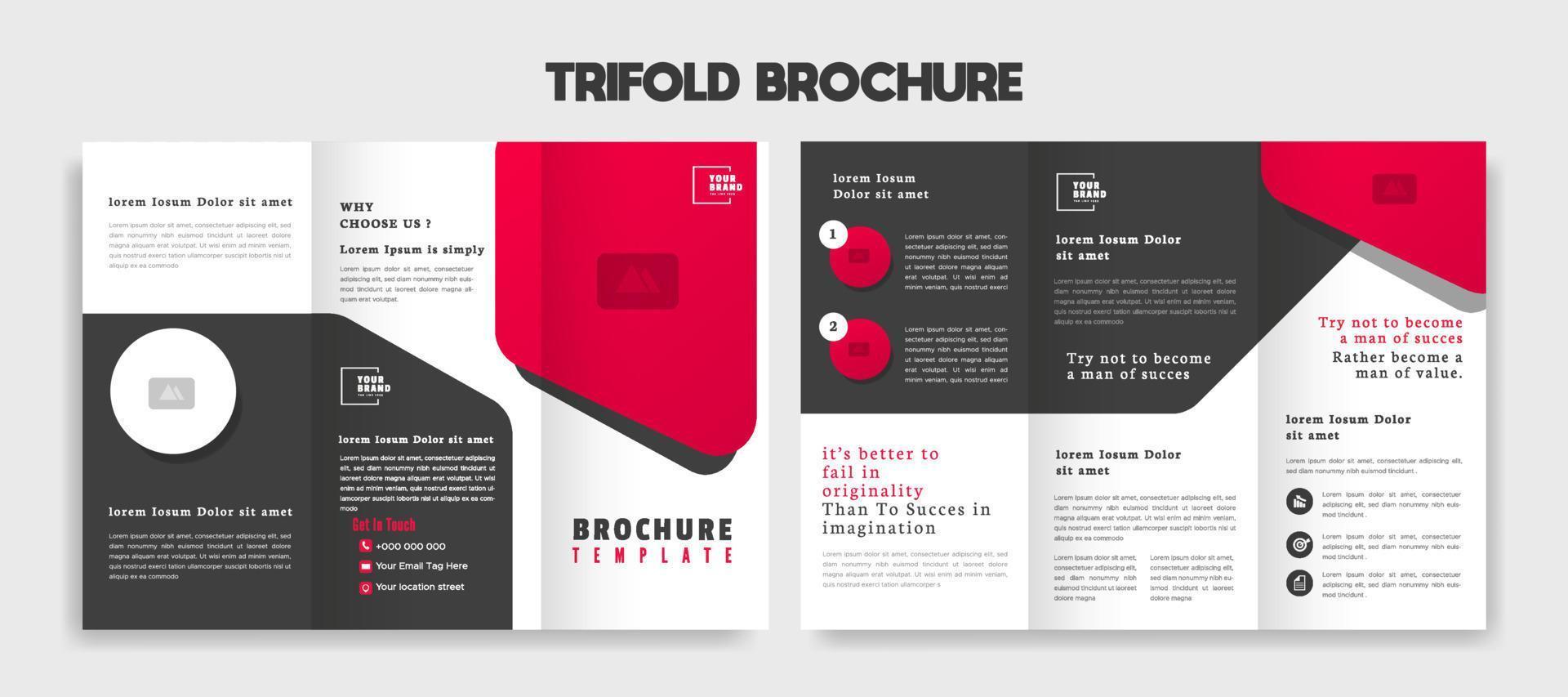 trifold brochure template design vector