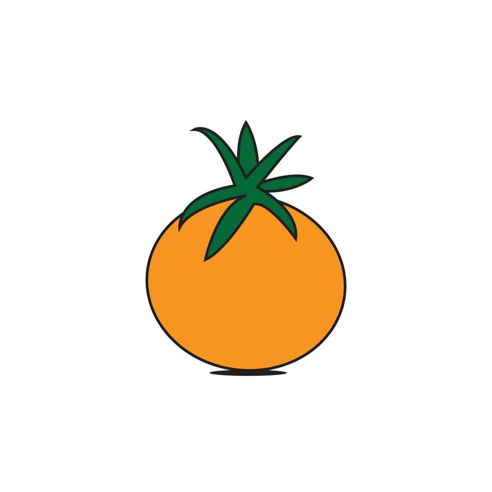 Ilustración de fruta naranja sobre fondo blanco. vector